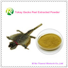 100% Natural Extracto de Tokay Gecko Powder Hierbas Sexuales Solo para Hombres Tokay Gecko Peel Extracted Powder